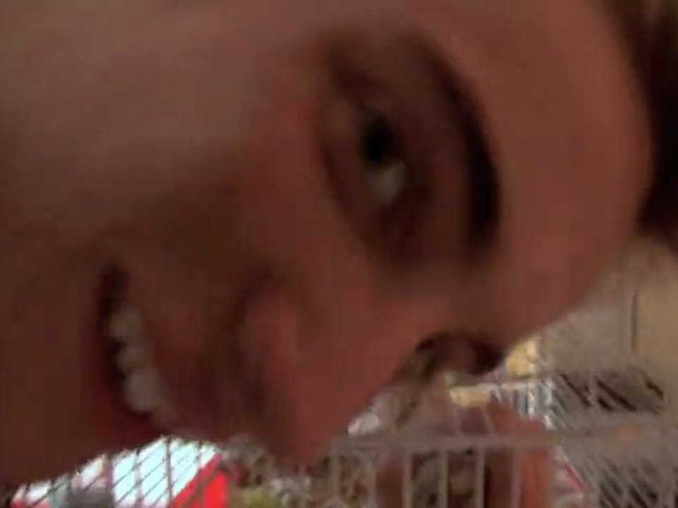 Les-tiplus de Mr Bête. #1  -Mr Bête et Grizzly-