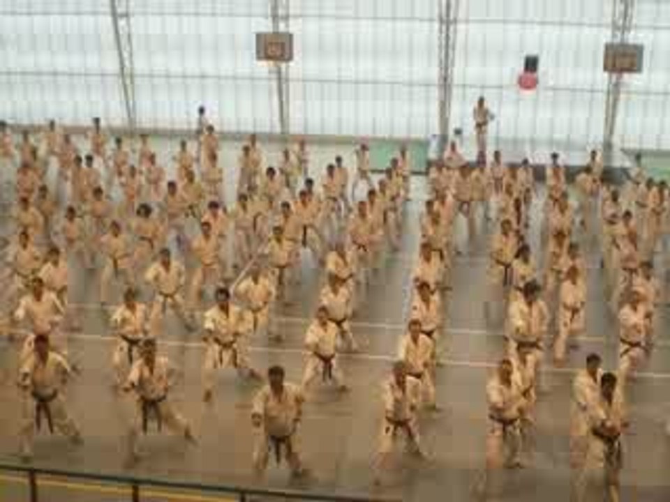 Stage de Karaté: Maitre Kanazawa le 01 11 2009