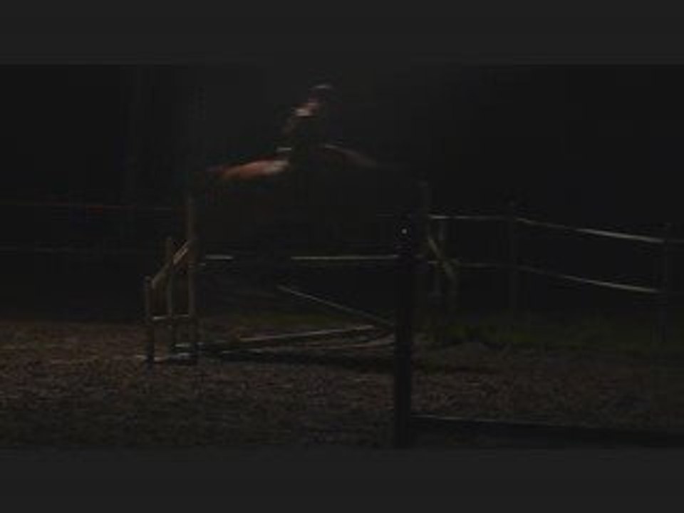 saut d'obstacle du 30 octobre 2009