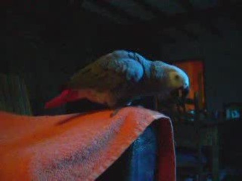 bonjour pa non allez 003