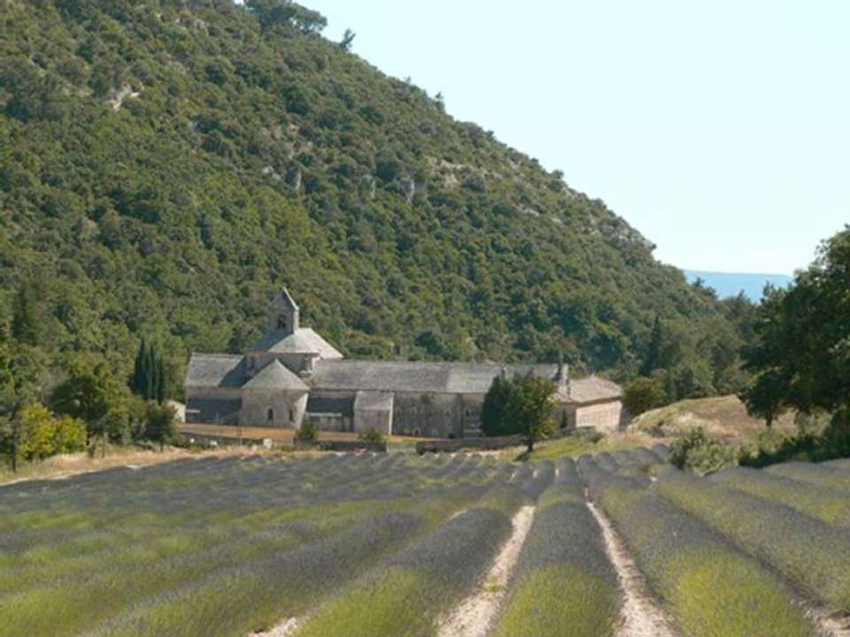 La Provence n° 15 : Abbaye de Sénanque ( Vaucluse )