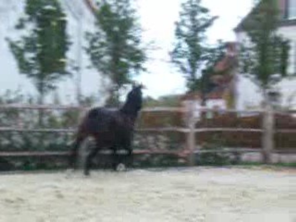 Essai Alexia