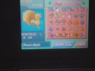 mes pokemon dans platine