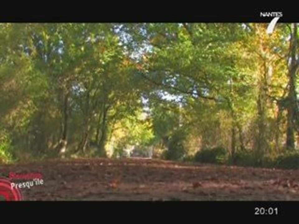 Presqu'île de Guérande : Le marais de Brière