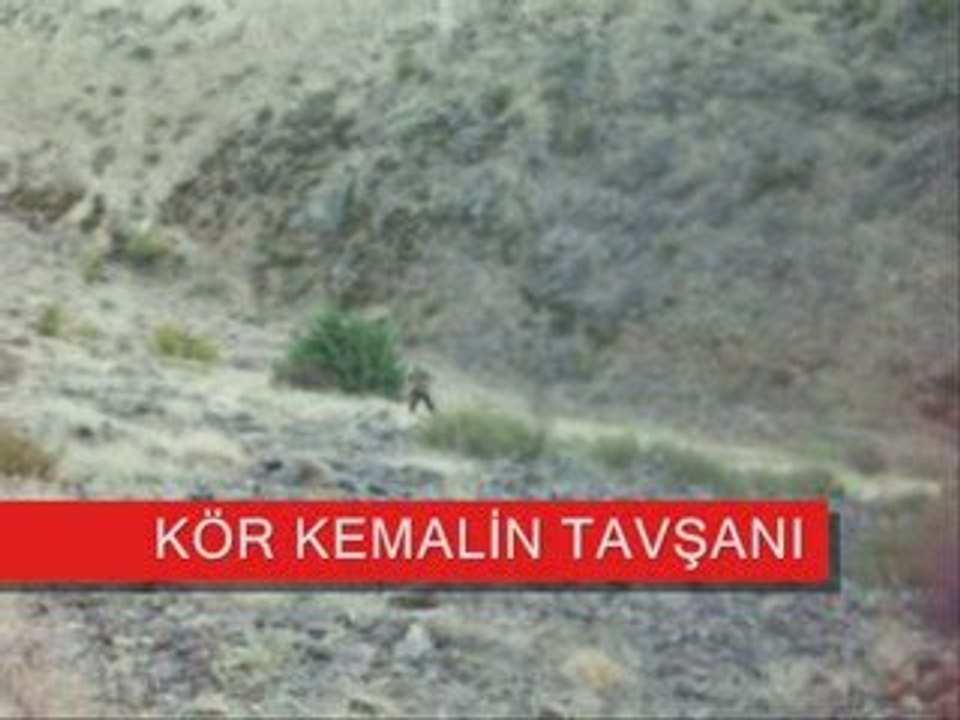 UFUK KATRANCI