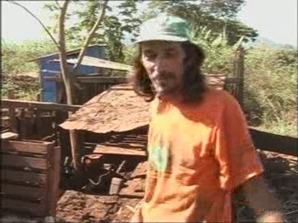 Brésil - La catastrophe Ethanol