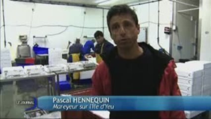 Les pêcheurs de l'île d'Yeu dans la tourmente