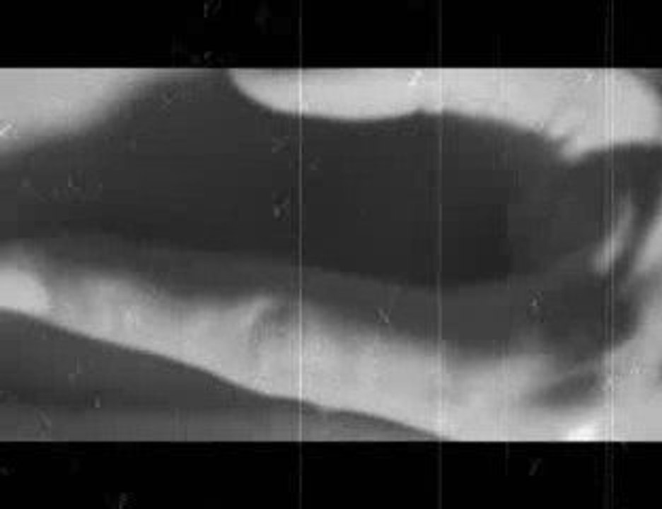 Duas Mentiras e Algumas Verdades