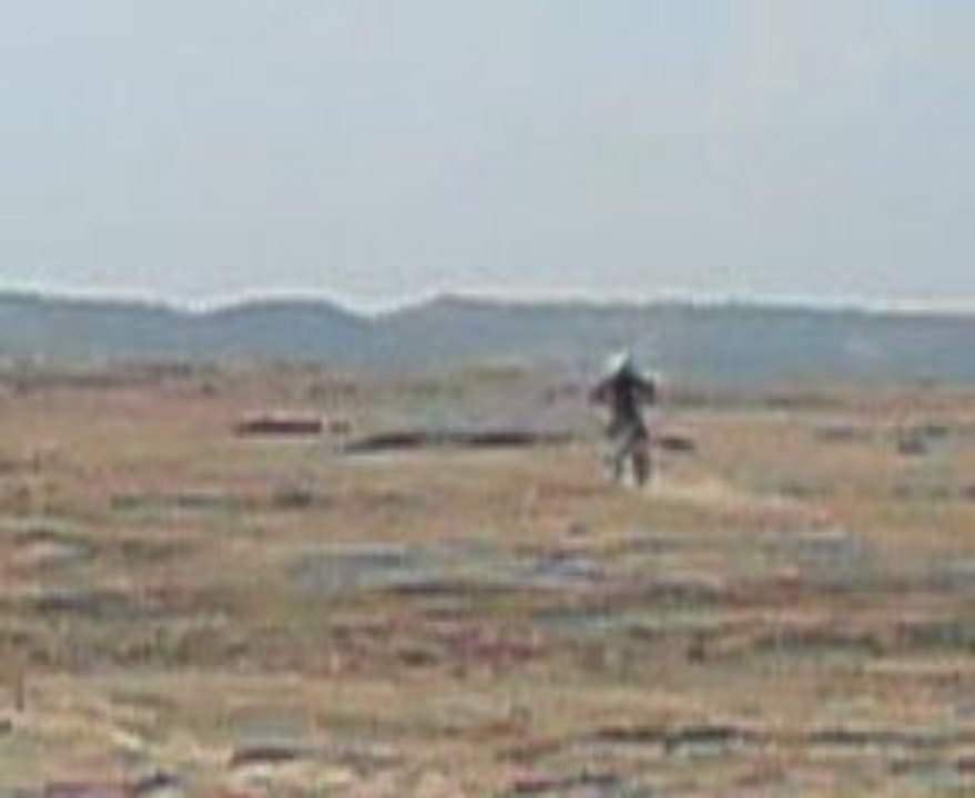 250 cr dans le sable