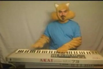 Human Keyboard Cat