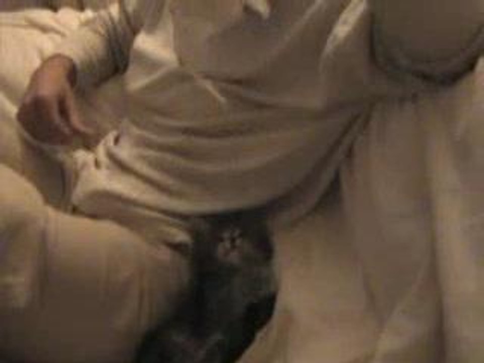 hypnotiser une minette