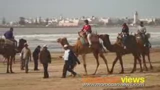 Moroccan Views-Hi Lights of Morocco