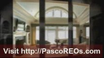 Affordable Pasco REO Properties