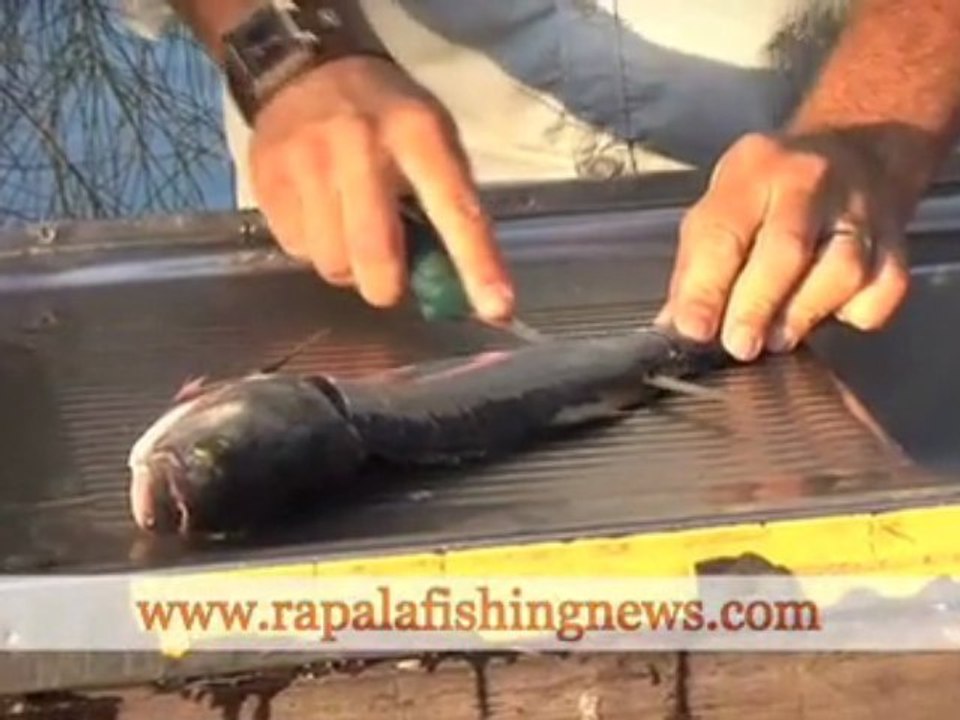 How To Fillet A Fish With A Marttiini Knive