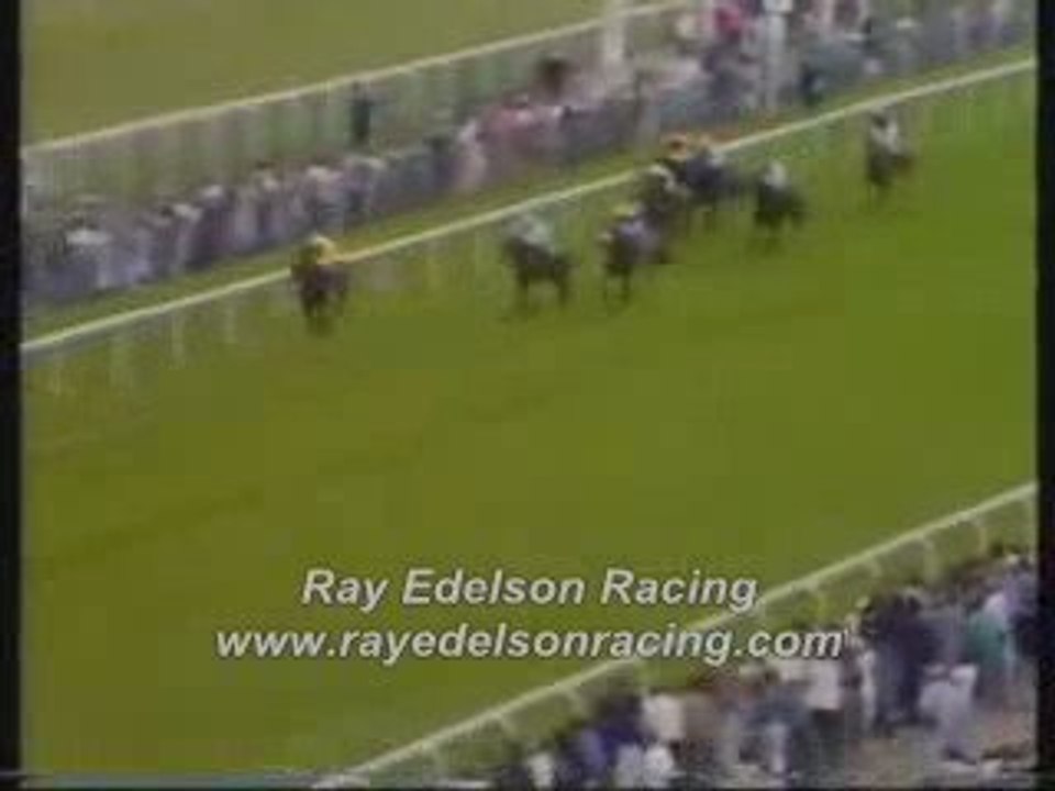 ray edelson horse racing and sports betting service