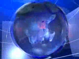 infosoirée ile de la reunion: Les litchis seront en retard