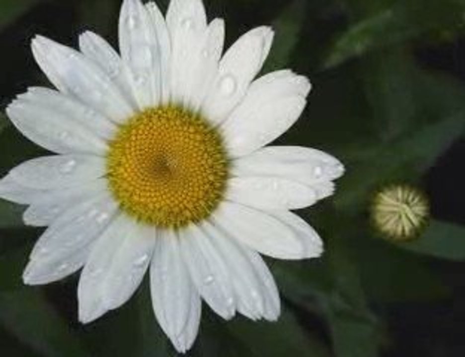 SeNiNLe YaŞaMaK..  ( live with you )