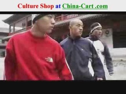 Leopard Kung Fu Shaolin styles leopard fist bao quan baoquan