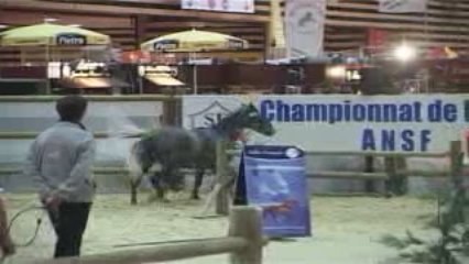 Sinsemilia d'Emery: Equita' Lyon 2009