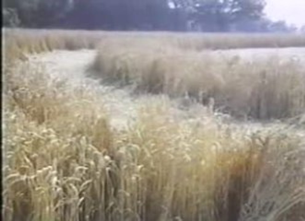 ovni agroglyphes Les preuves