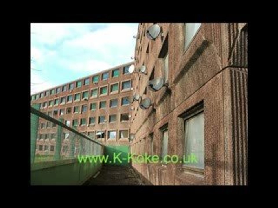 K-Koke (Fuck Da SK) - USG