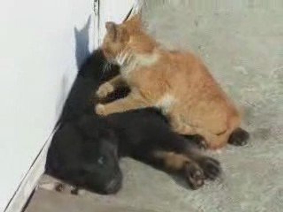 un petit massage?
