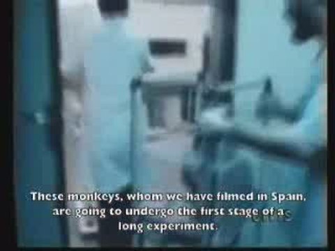 José Delgado-Corrida et vivisection