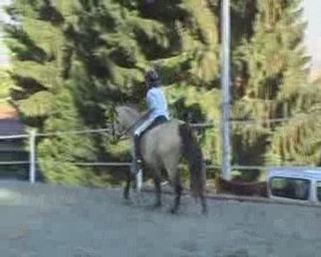 Travail au galop : Epaule en avant