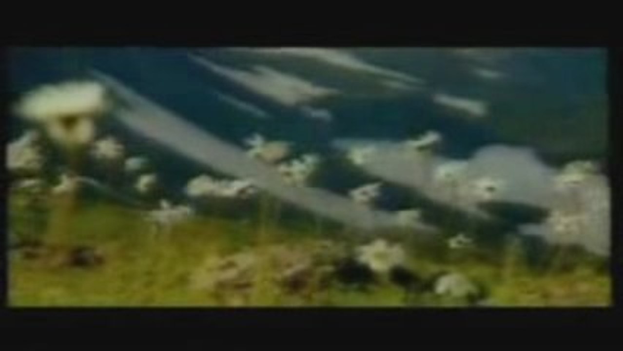 TURGAY TÜRKKAN - VATAN YAZILI (YENİ VERSİYON ) ---MÜTHİŞ---