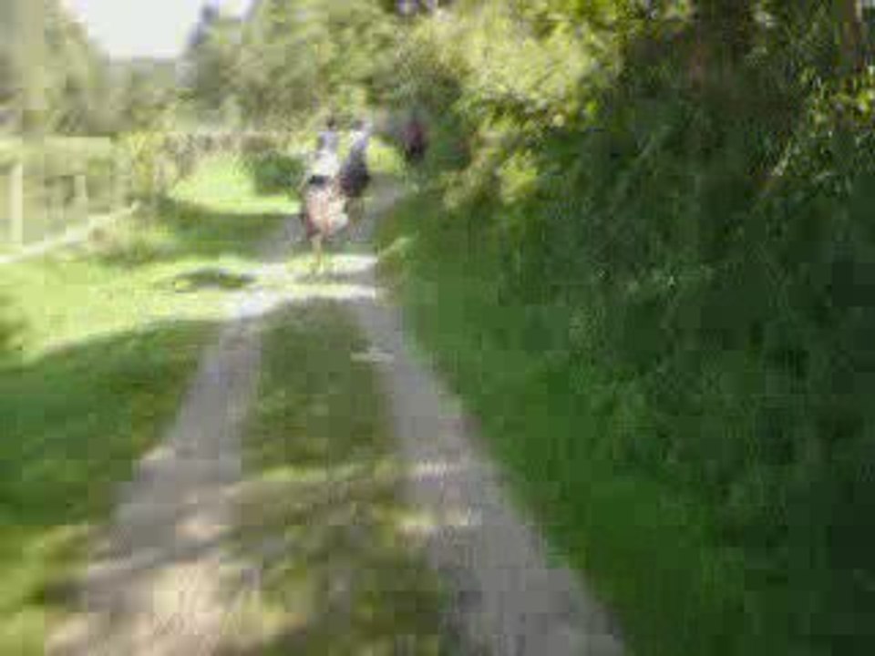 Caméra embarquée sur Némée !