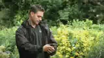 BlackBerry: Tricks Of The Trade