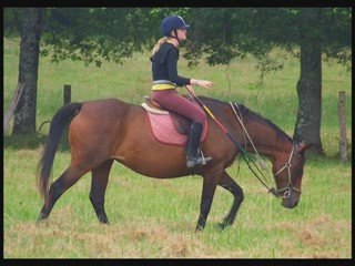 Chevaux qui ont laissé leur traces dans mon coeur... <3