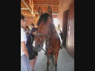 Octave des fougères I LOVE YOU