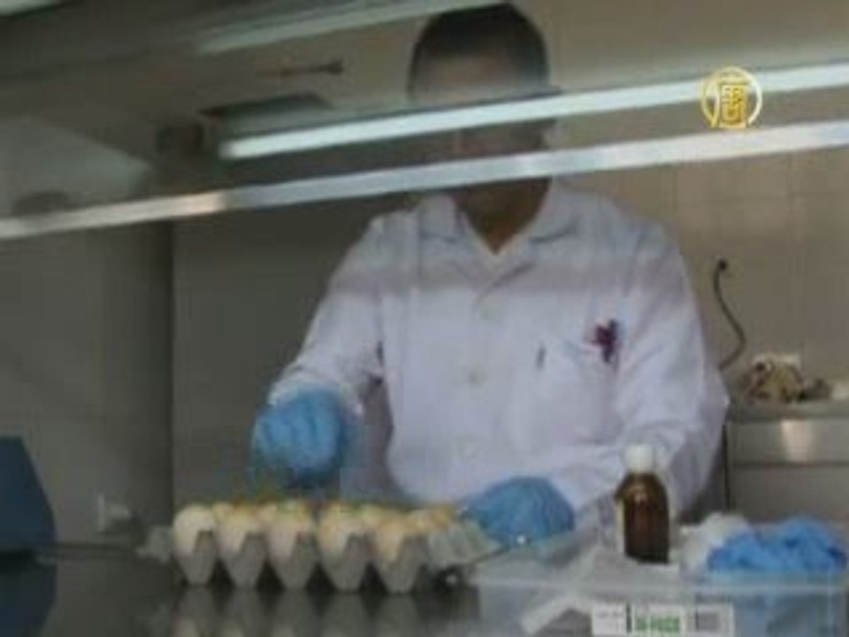 Массовая вакцинация против A/H1N1 началась в Турции