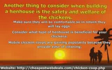The Things to Consider Before Building a Henhouse