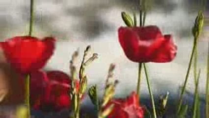 day trip from marrakech to ourika valley