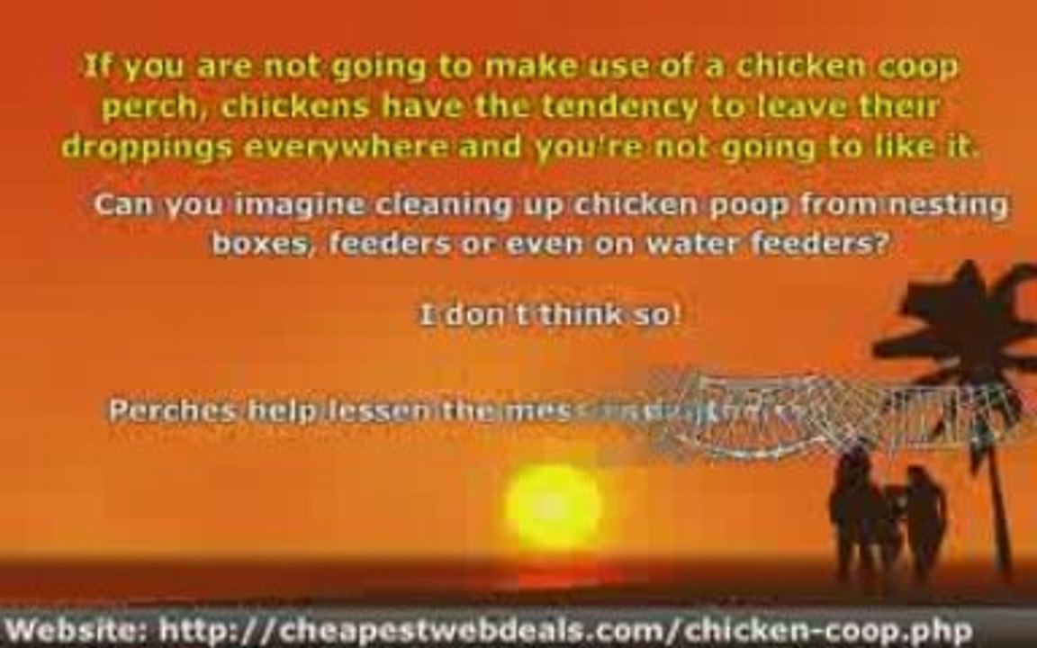Learn If You Really Need a Chicken Coop Perch