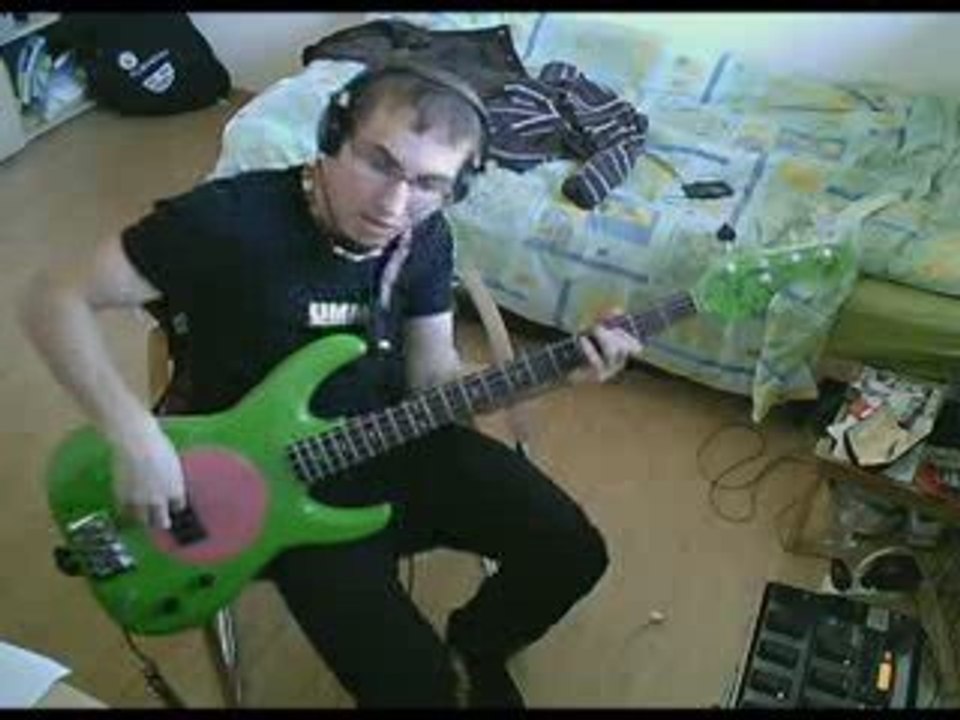 RHCP - Naked In The Rain [Bass Cover]