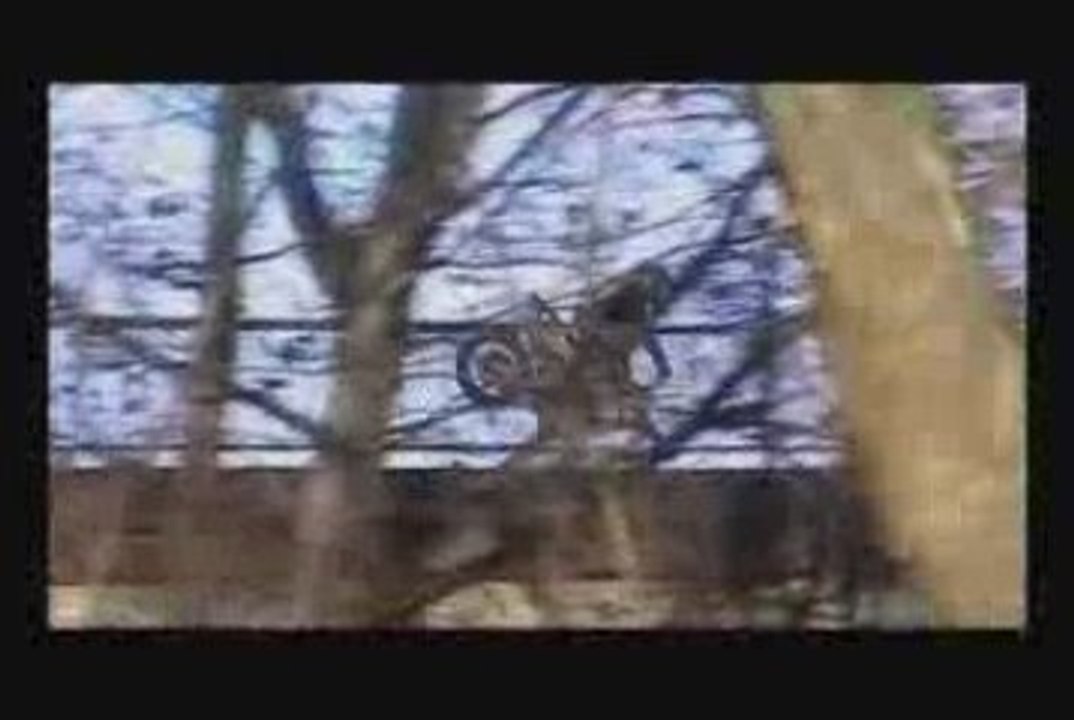 Steve session stunt