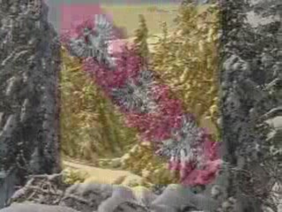 Presentation des Bloggers Lorrains Engages