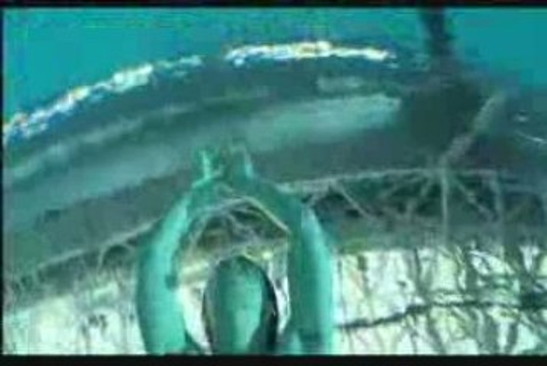 Peaky SALT 新曲 PV