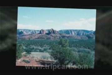 Road Trip Planner and Online Travel Guide - TripCart