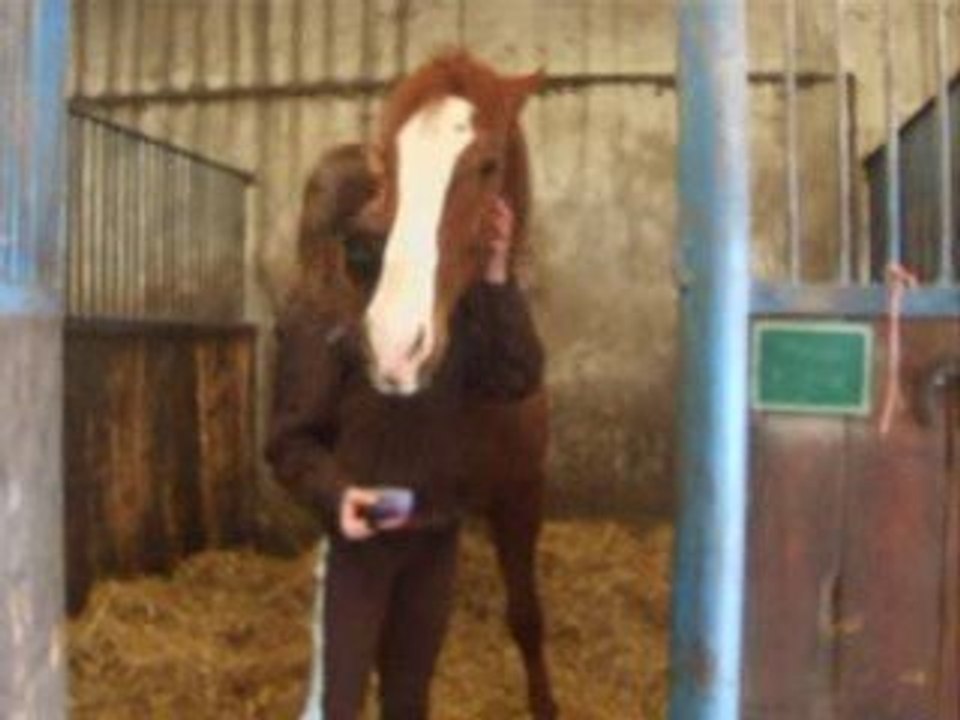 Aimer c'est ce qu'il y a d'plus beau ..