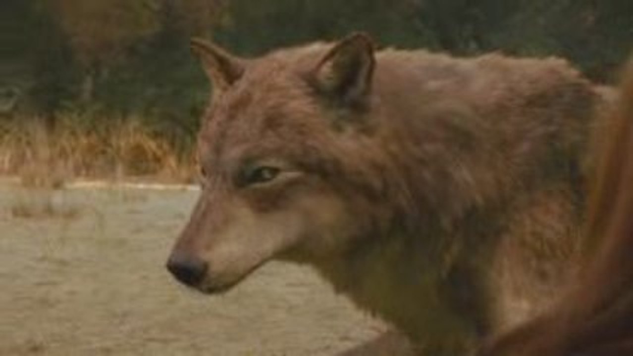 Twilight Saga: New Moon - TV Spot #3 - Never Hurt You