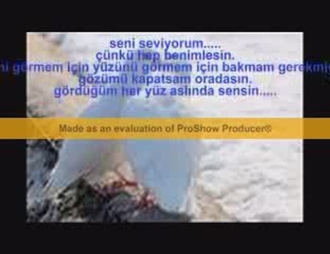 seni seviyorum çünkü