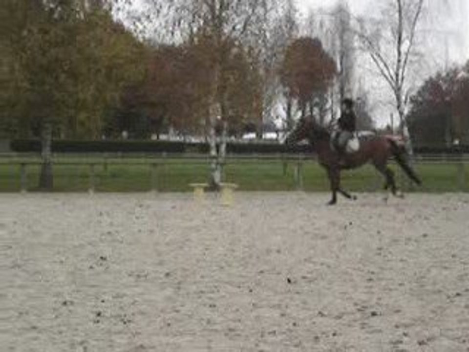 seance de cso