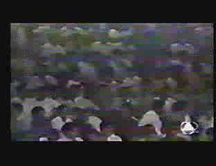 FABRICE PAYEN MUAYTHAI RAJADAMOERN CLASSEMENT N 3 1989