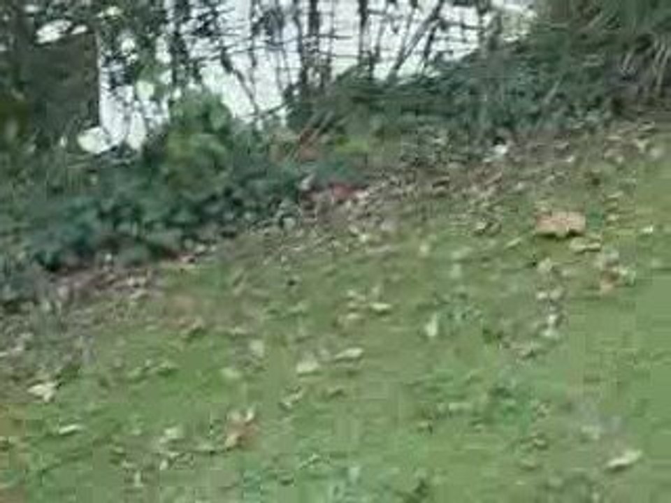 Rencontre du 3ème type !!!