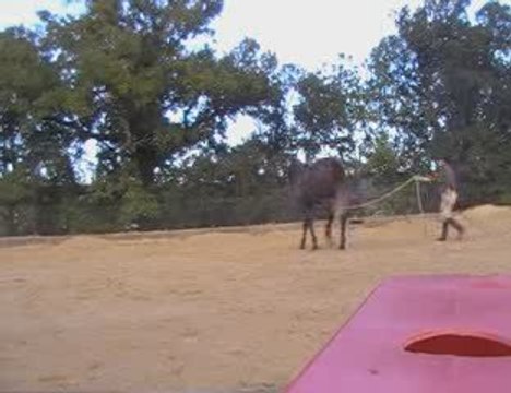 Galatéo désensibilisation au coin de la carièrre