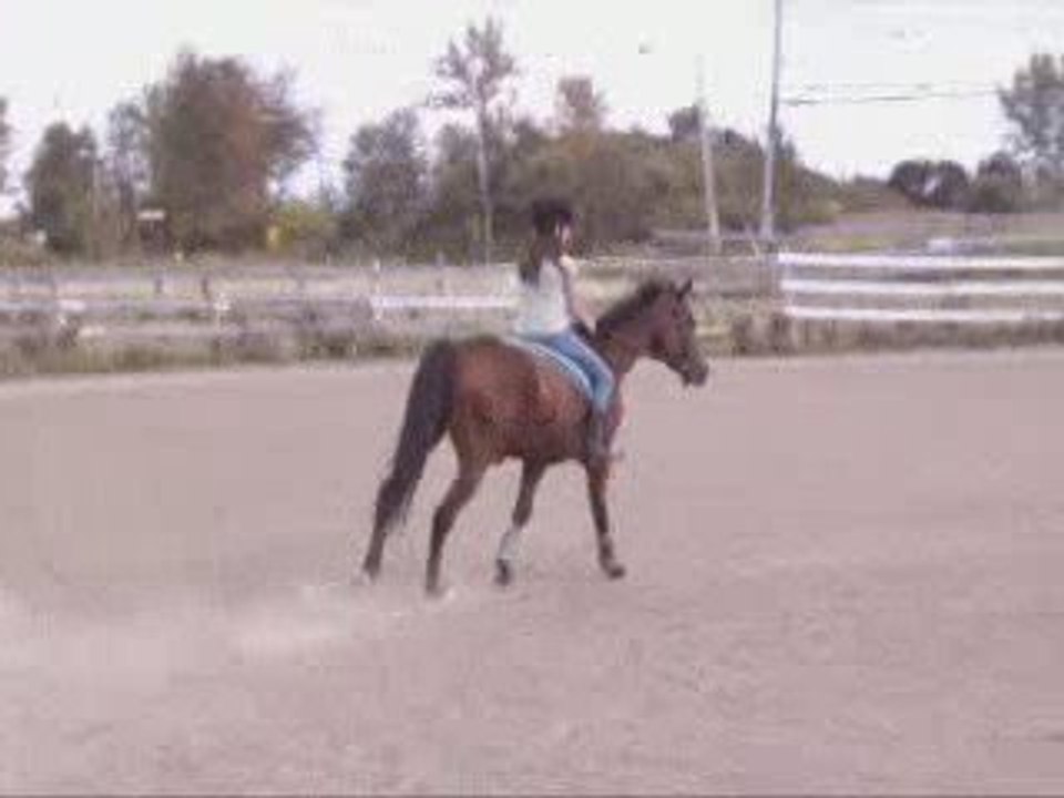 galop bareback